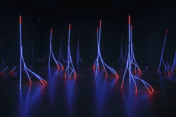 Silvestre Pestana, Fractal Trees, 2003, Argon tubes and glass (7 elements), Dimensions Variable, Installation view from the exhibition, Silvestre Pestana: Tecnoforma, at Serralves Museum of Contemporary Art, Porto, PT, 2016. Photo: Filipe Braga © The Serralves Foundation. Courtesy the Artist and The Serralves Foundation, Porto, PT