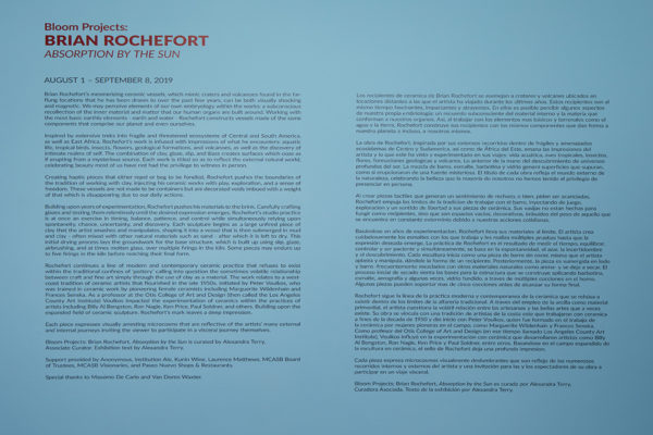 Brian Rochefort, <em>Absorption By the Sun</em>, Intro Panel. Photo Courtesy Alex Blair © 2019