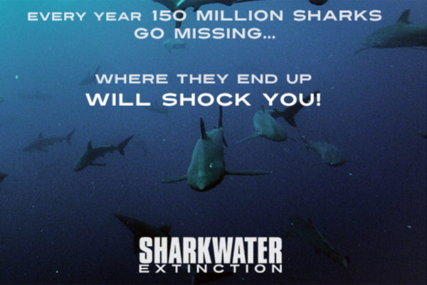 Sharkwater Screening header image