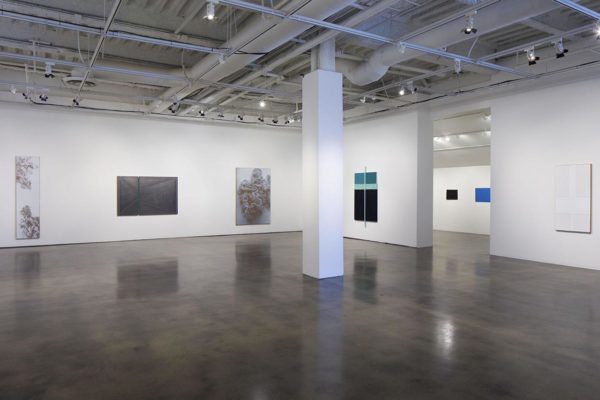 N. Dash, Installation View, Museum of Contemporary Art Santa Barbara, 2019, Courtesy the Artist and MCASB, Photo: Alex Blair.