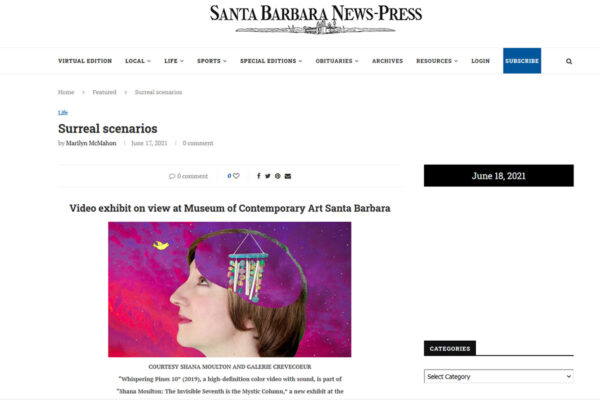 SB News-Press Shana Moulton header image