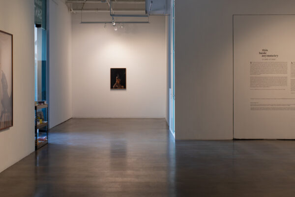 <em>This Basic Asymmetry</em>, 2022, Installation view, Courtesy Museum of Contemporary Art Santa Barbara. Photo: Alex Blair