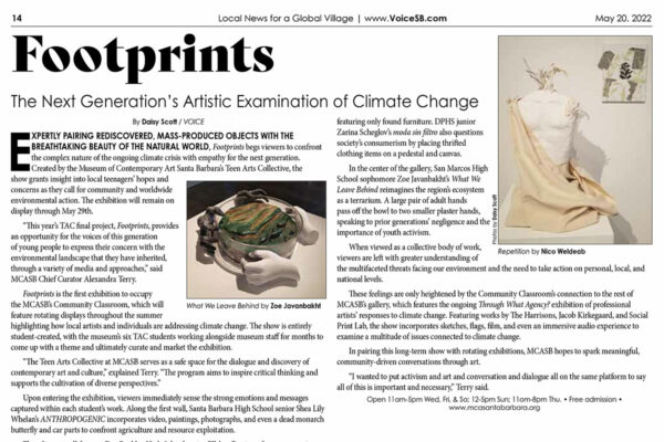 SB Voice - The Next Generation's Artistic Examination of Climate Change header image