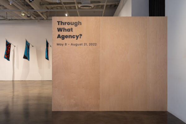 <em>Through What Agency?</em> installation view