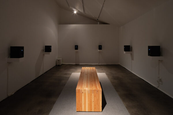 <em>Through What Agency?</em> installation view