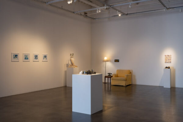 <em>Through What Agency?</em> installation view